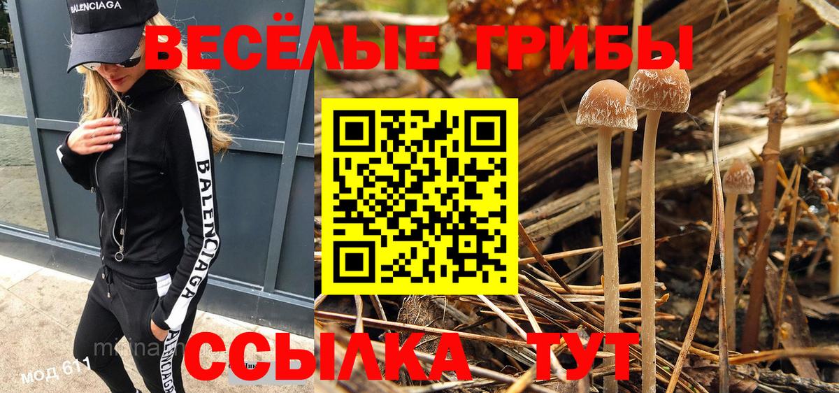 Галлюциногенные грибы Magic Shrooms Чебаркуль